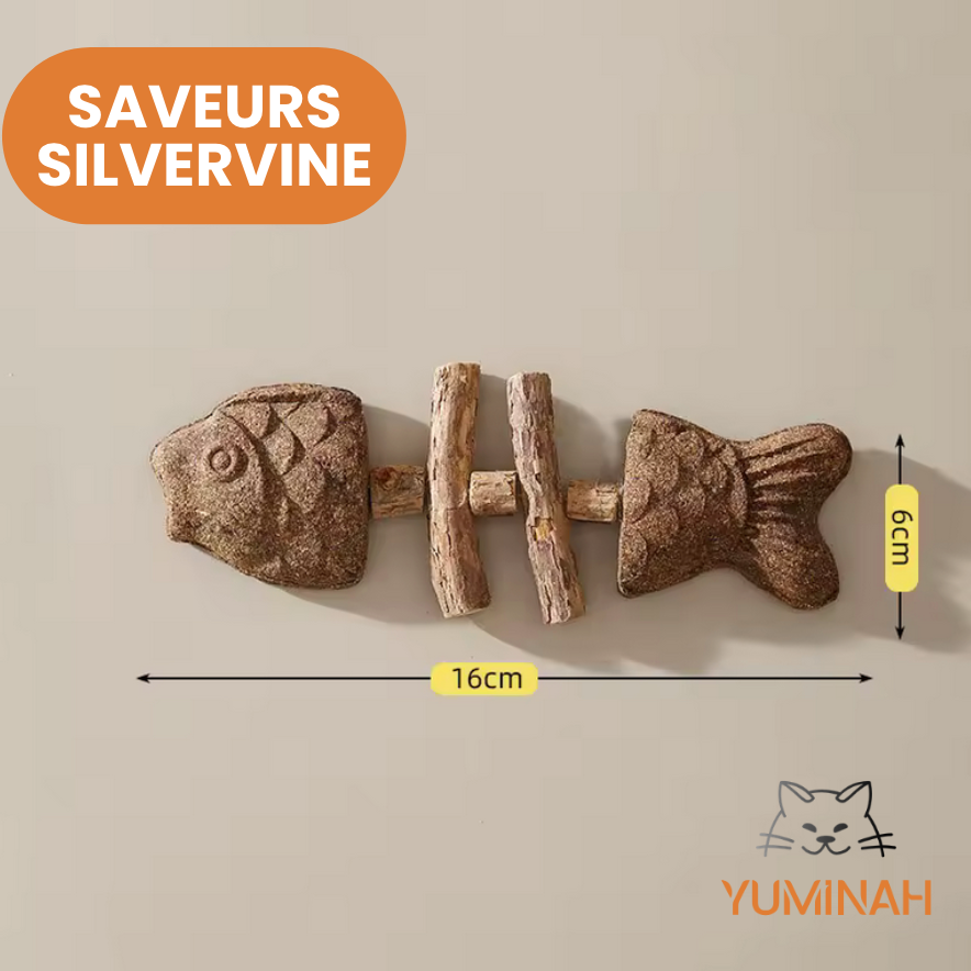 Poisson Bâton Molaire – Herbe à Chat & Silvervine