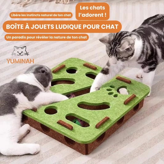 Puzzle en Feutrine pour Chat – Jeu Mental & Exercice Doux