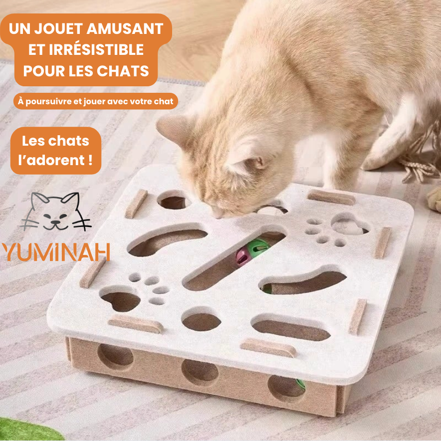 Puzzle en Feutrine pour Chat – Jeu Mental & Exercice Doux