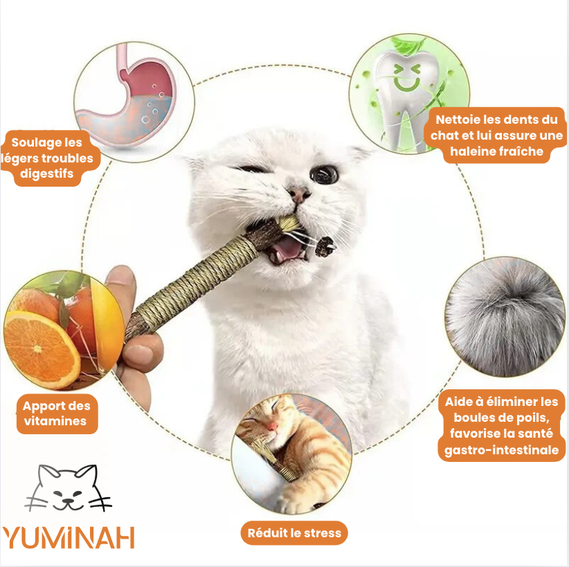 Bâton à Mâcher Silvervine pour Chat – Apaisant & Nettoyant