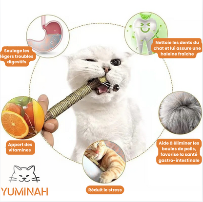 Bâton à Mâcher Silvervine pour Chat – Apaisant & Nettoyant