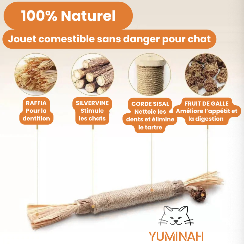 Bâton à Mâcher Silvervine pour Chat – Apaisant & Nettoyant