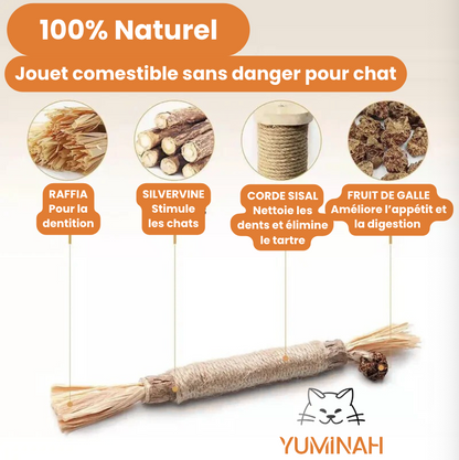 Bâton à Mâcher Silvervine pour Chat – Apaisant & Nettoyant