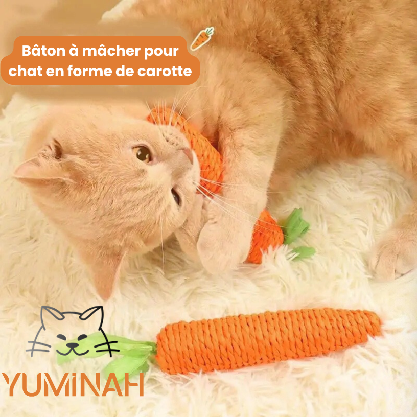 Jouet Carotte pour Chat – Résistante & Stimulante