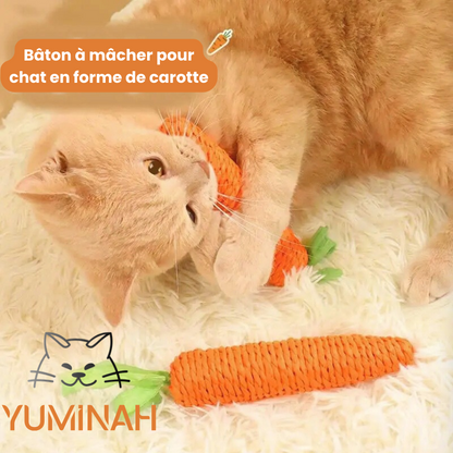 Jouet Carotte pour Chat – Résistante & Stimulante