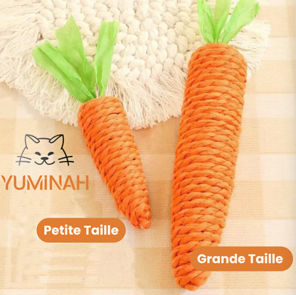 Jouet Carotte pour Chat – Résistante & Stimulante