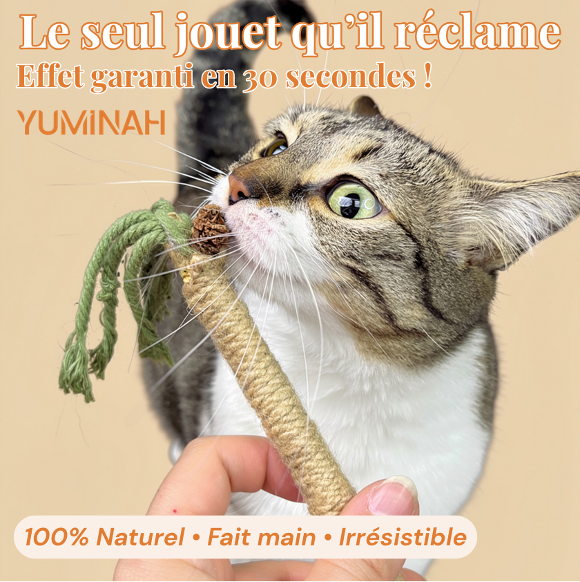 Bâton Silvervine & Sisal pour Chat