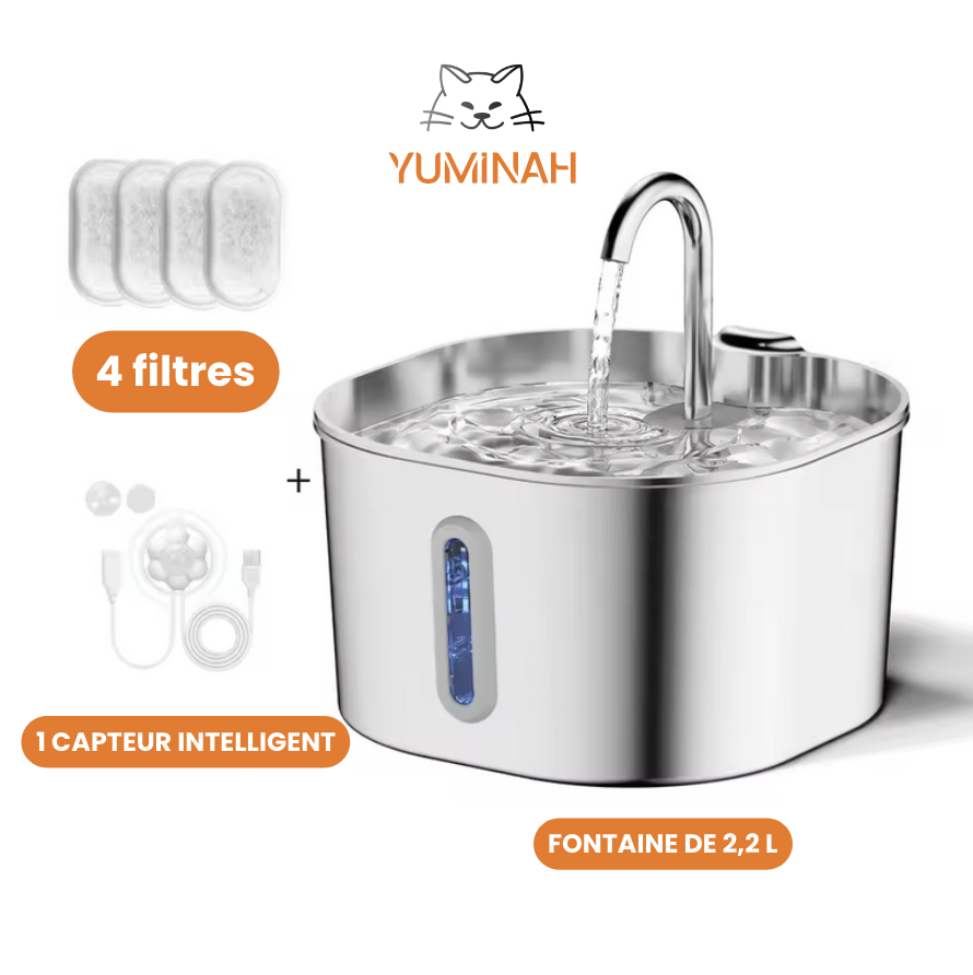 Fontaine à Eau Automatique 2,2L – Inox, Hygiénique & Facile à Nettoyer