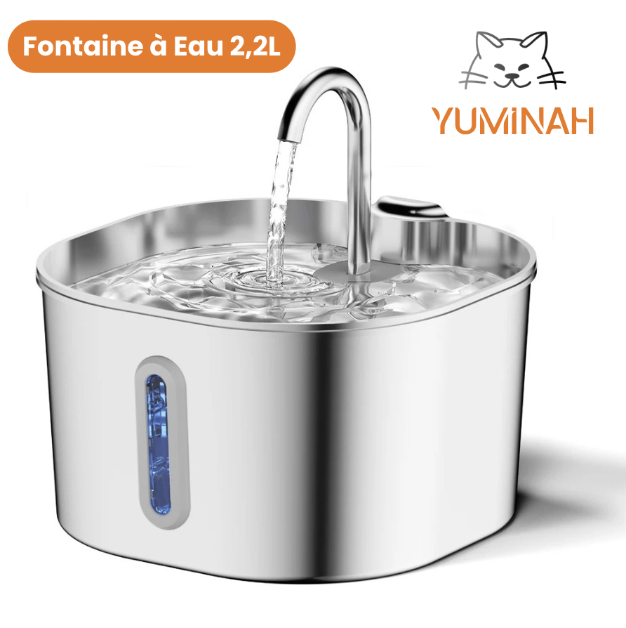 Fontaine à Eau Automatique 2,2L – Inox, Hygiénique & Facile à Nettoyer
