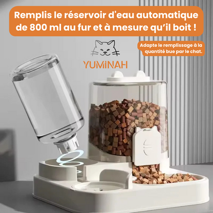 Distributeur Croquettes & Eau à Gravité – Simple & Pratique