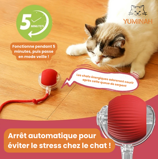 Balle Interactive Intelligente pour Chat – LED & Mouvement Auto