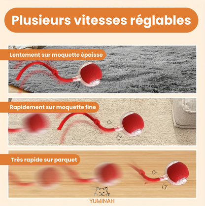 Balle Interactive Intelligente pour Chat – LED & Mouvement Auto