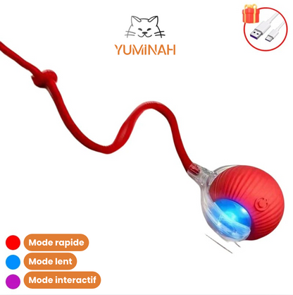 Balle Interactive Intelligente pour Chat – LED & Mouvement Auto