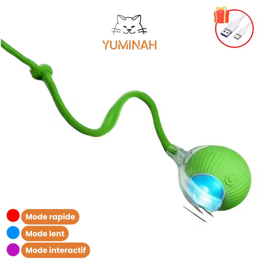 Balle Interactive Intelligente pour Chat – LED & Mouvement Auto