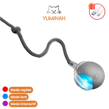 Balle Interactive Intelligente pour Chat – LED & Mouvement Auto