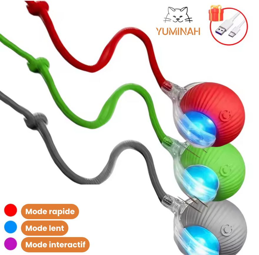 Balle Interactive Intelligente pour Chat – LED & Mouvement Auto