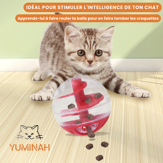 Balle Distributrice de Friandises – Jeu Intelligent & Anti-Gourmandise