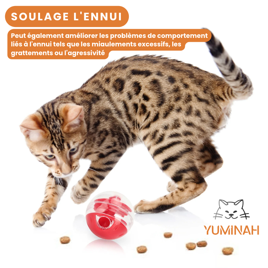 Balle Distributrice de Friandises – Jeu Intelligent & Anti-Gourmandise