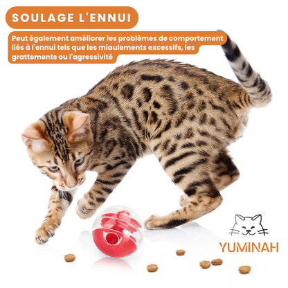 Balle Distributrice de Friandises – Jeu Intelligent & Anti-Gourmandise