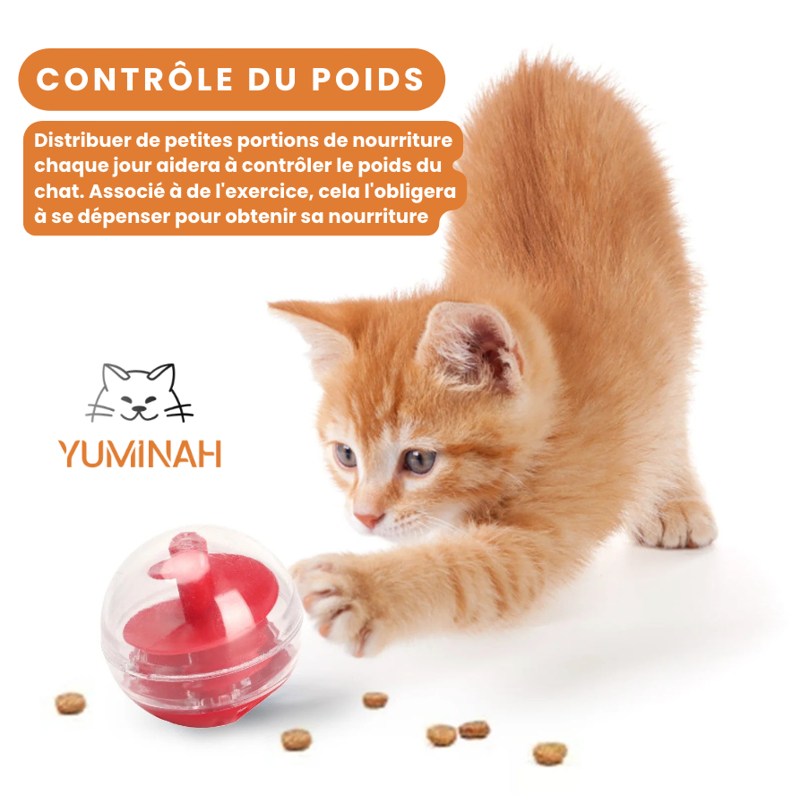 Balle Distributrice de Friandises – Jeu Intelligent & Anti-Gourmandise