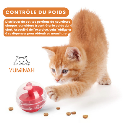 Balle Distributrice de Friandises – Jeu Intelligent & Anti-Gourmandise