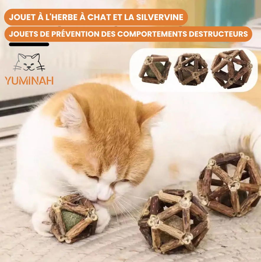 Balle Herbre à Chat & Silvervine – Soin Dentaire Naturel