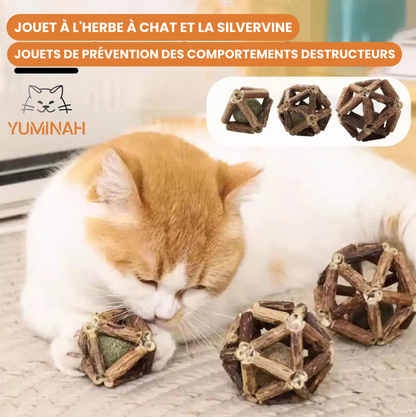 Balle Herbre à Chat & Silvervine – Soin Dentaire Naturel