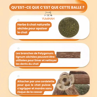 Balle Herbre à Chat & Silvervine – Soin Dentaire Naturel