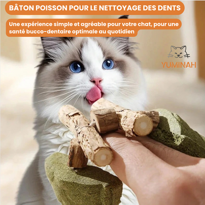 Poisson Bâton Molaire – Herbe à Chat & Silvervine