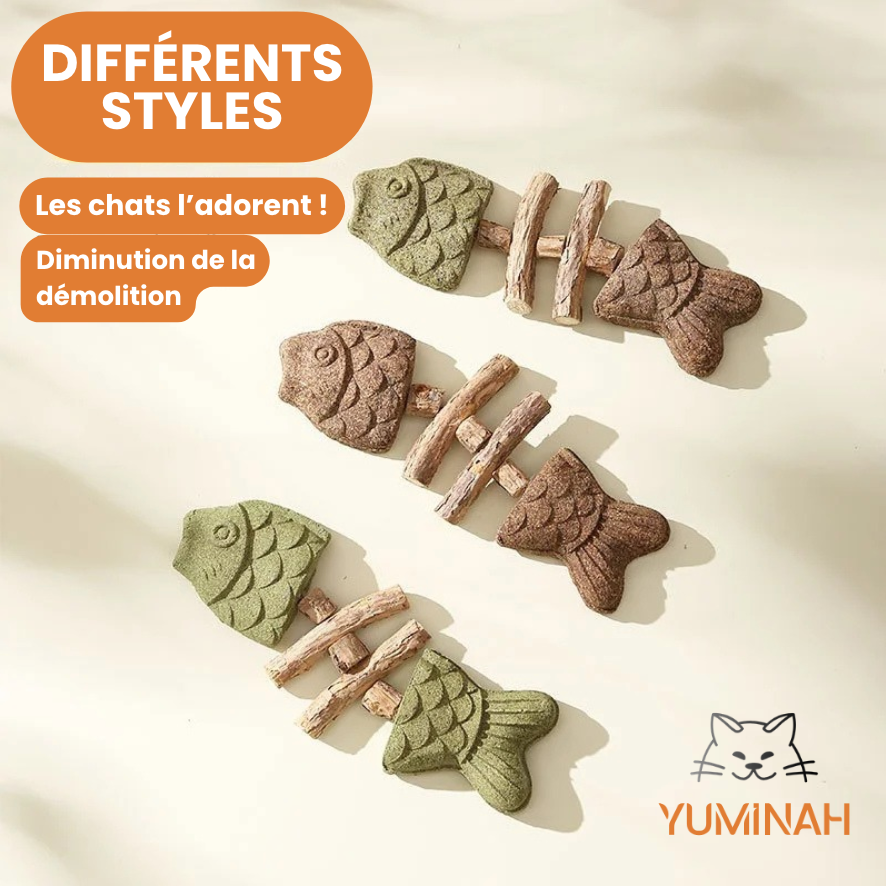 Poisson Bâton Molaire – Herbe à Chat & Silvervine