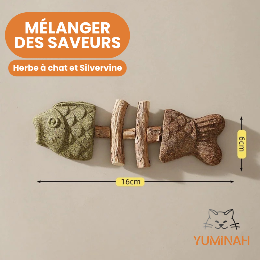 Poisson Bâton Molaire – Herbe à Chat & Silvervine