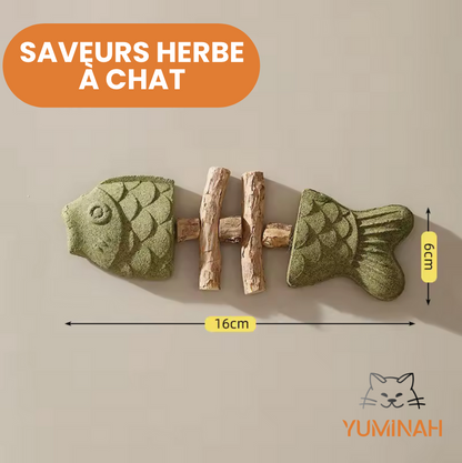 Poisson Bâton Molaire – Herbe à Chat & Silvervine