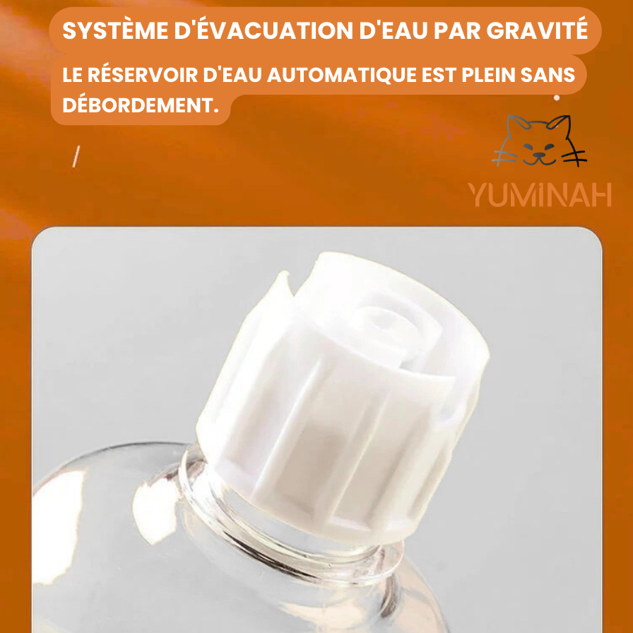 Gamelle Inclinée 3-en-1 – Eau & Croquettes avec Bouteille
