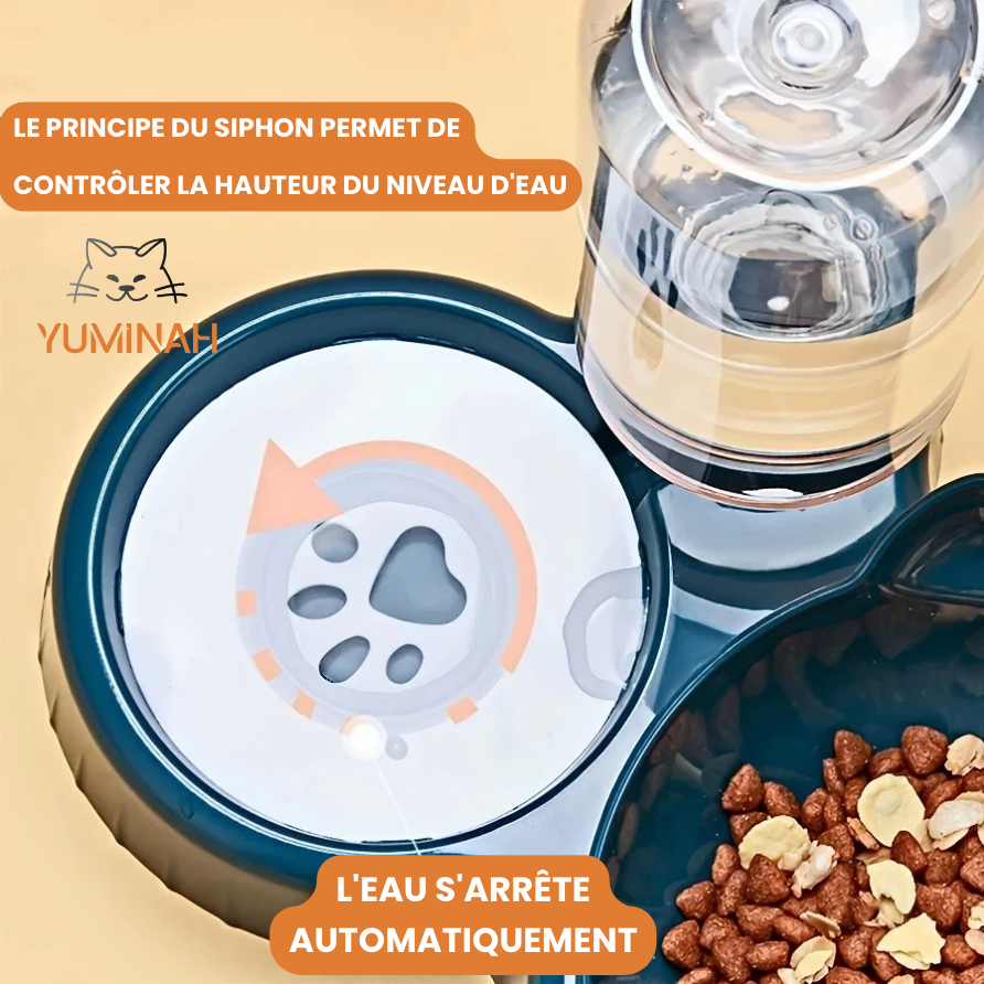 Gamelle Inclinée 3-en-1 – Eau & Croquettes avec Bouteille