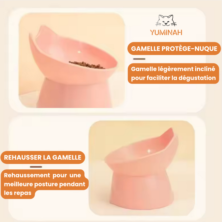 Gamelle Surélevée Anti-Renversement – Protection du Cou & Facile à Nettoyer
