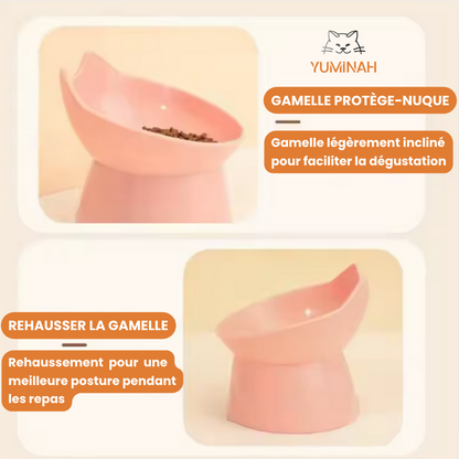 Gamelle Surélevée Anti-Renversement – Protection du Cou & Facile à Nettoyer