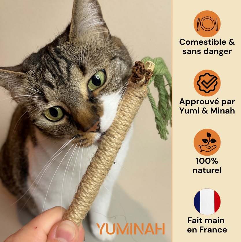 Bâton Silvervine & Sisal pour Chat