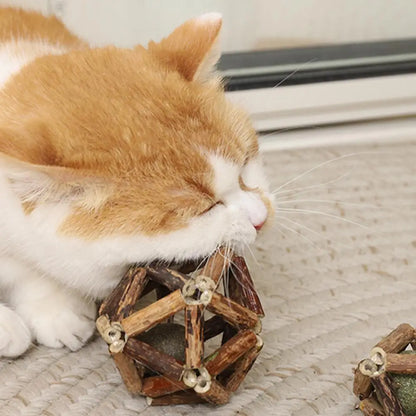 Balle Herbre à Chat & Silvervine – Soin Dentaire Naturel