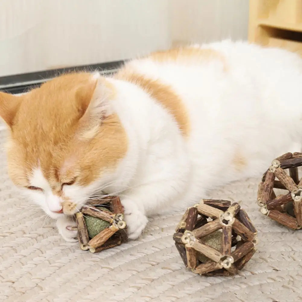 Balle Herbre à Chat & Silvervine – Soin Dentaire Naturel