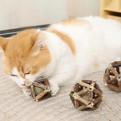 Balle Herbre à Chat & Silvervine – Soin Dentaire Naturel